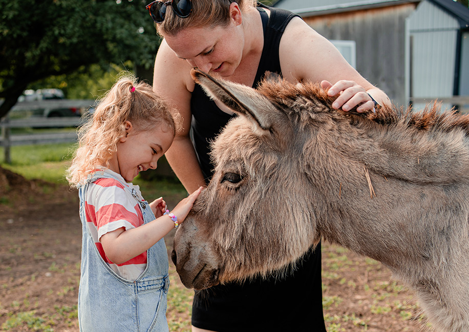 Parent and young child feeding a donkey during Barn Yard Buddies farm program in Bradford