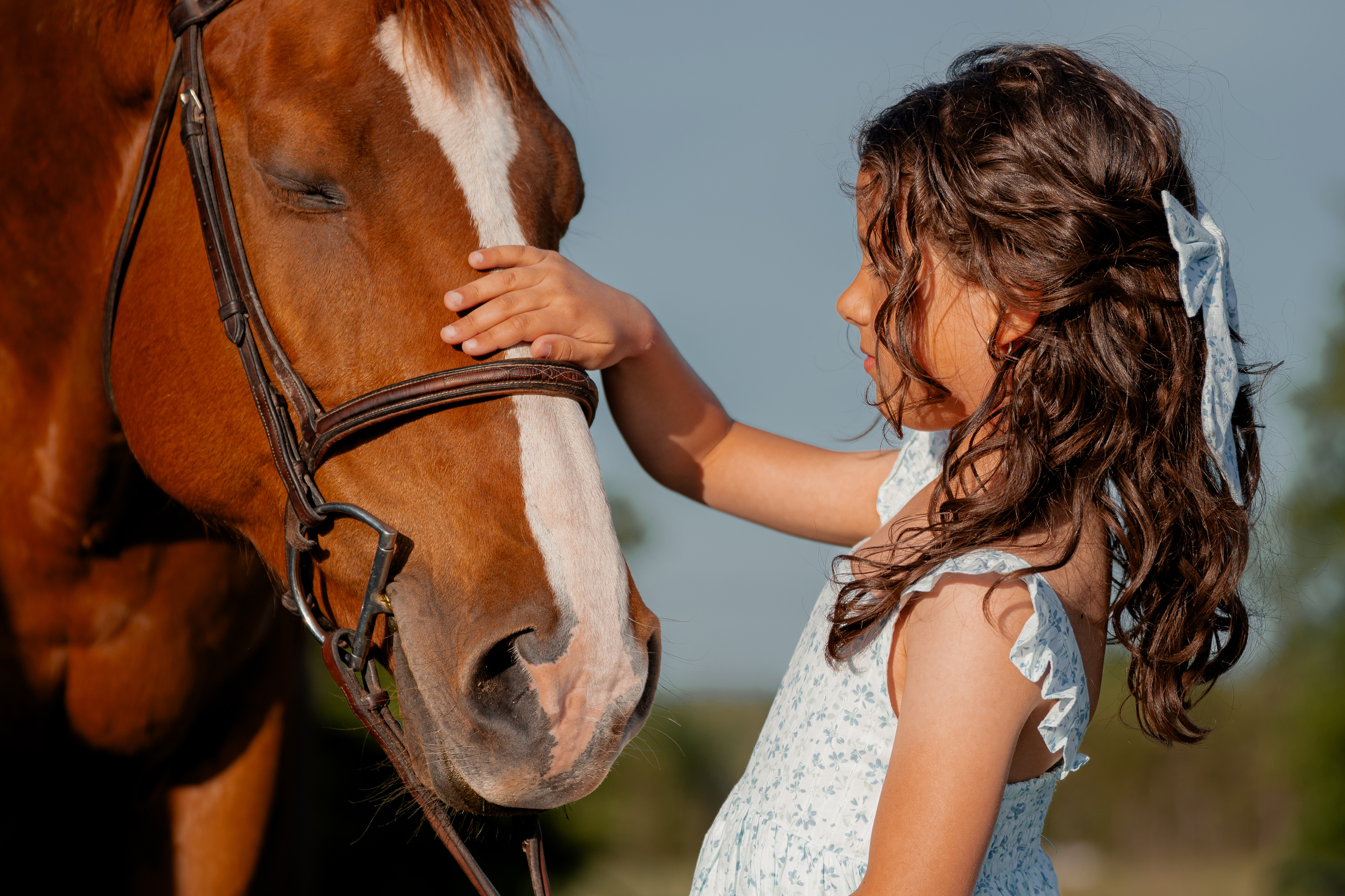Horse Riding Recreation / Horse Riding Development Lessons in Bradford Ontario